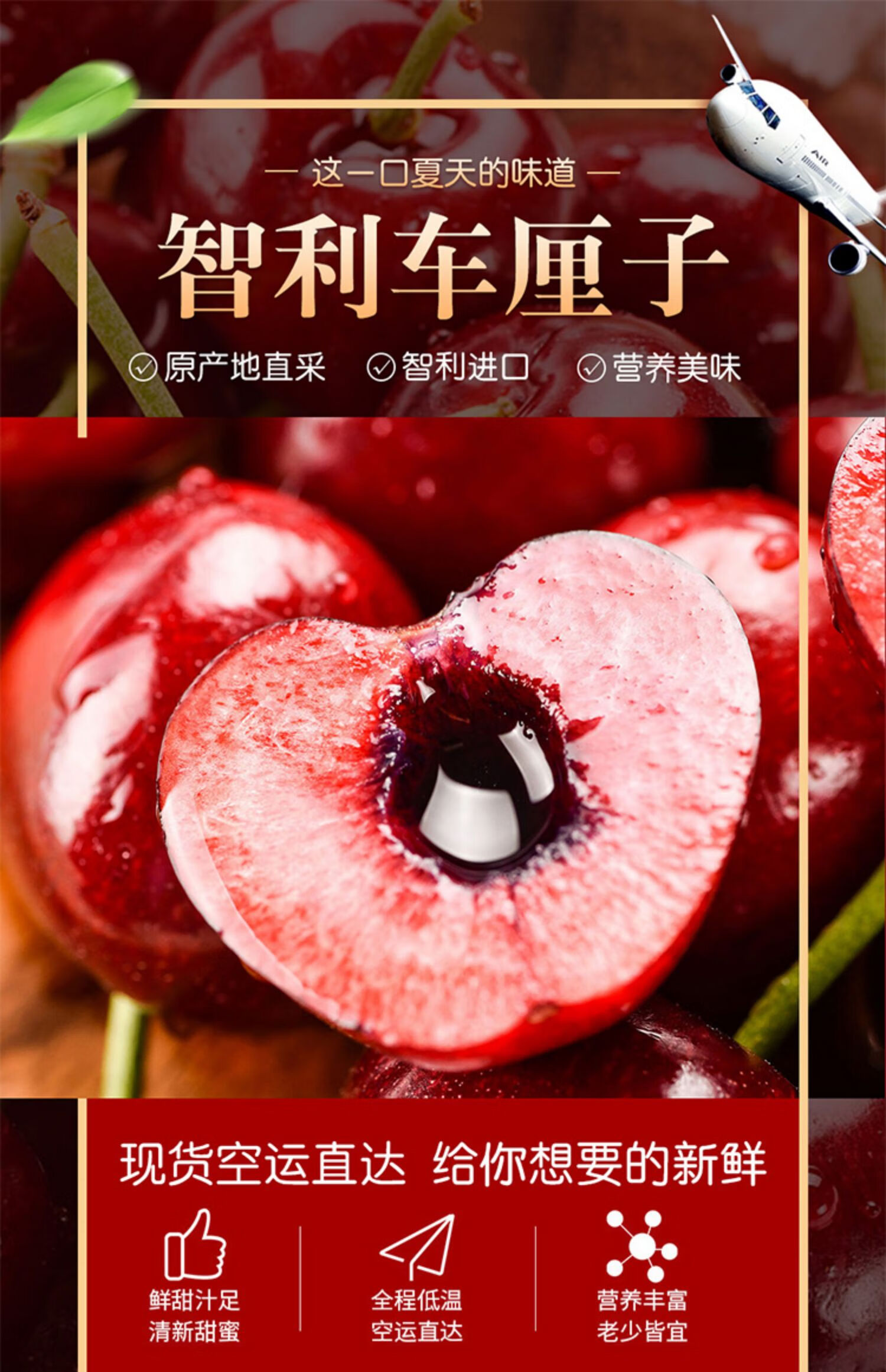 顺丰空运次日达 智利进口车厘子礼盒装新鲜水果大樱桃应季当季整箱
