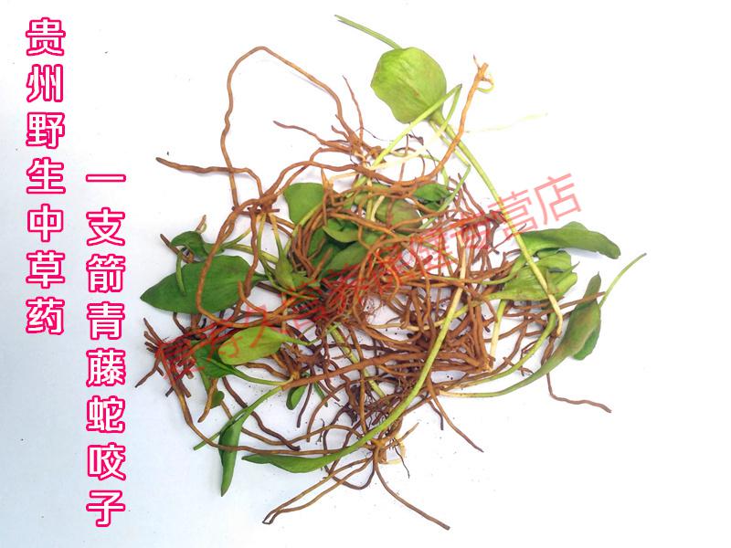 康中尊贵州新鲜蛇吐须500g野生一支箭中草药原材料材蛇咬子青藤瓶尔