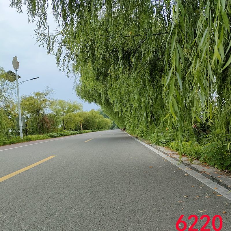 4cd4b494e05c897c.jpg