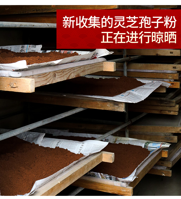 d13e905b3b12e490.jpg