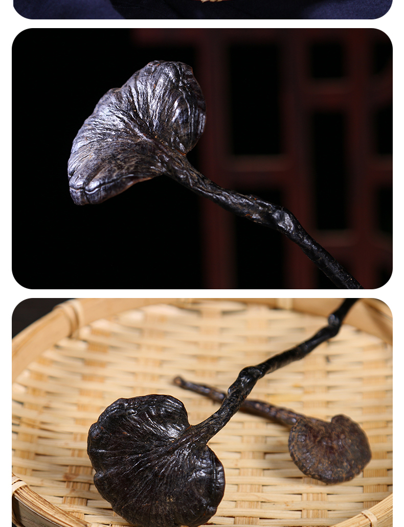 云南深山采摘天然长颈竹灵芝小红灵芝紫灵芝特级500g