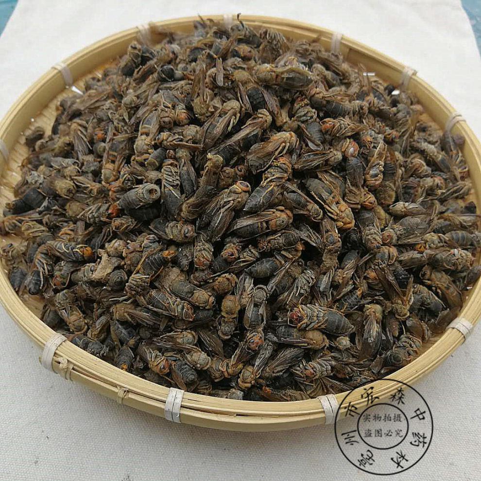 中药材马蜂干100克泡酒大黄蜂马蜂葫芦蜂新货另有蝗虫干 500克【图片