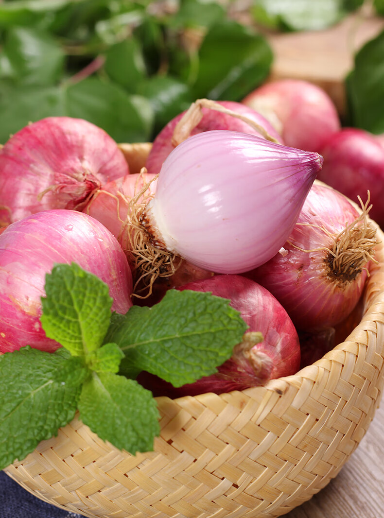 小圆葱独头葱毛葱生吃鬼干小洋葱头迷你圆红葱头