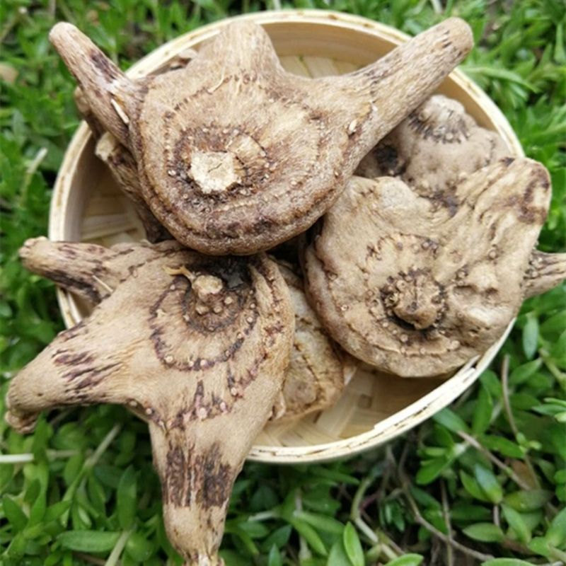 白芨整个干白芨 白及白芨粉白芨片贵州白芨旱白芨 100克试用装白芨粉