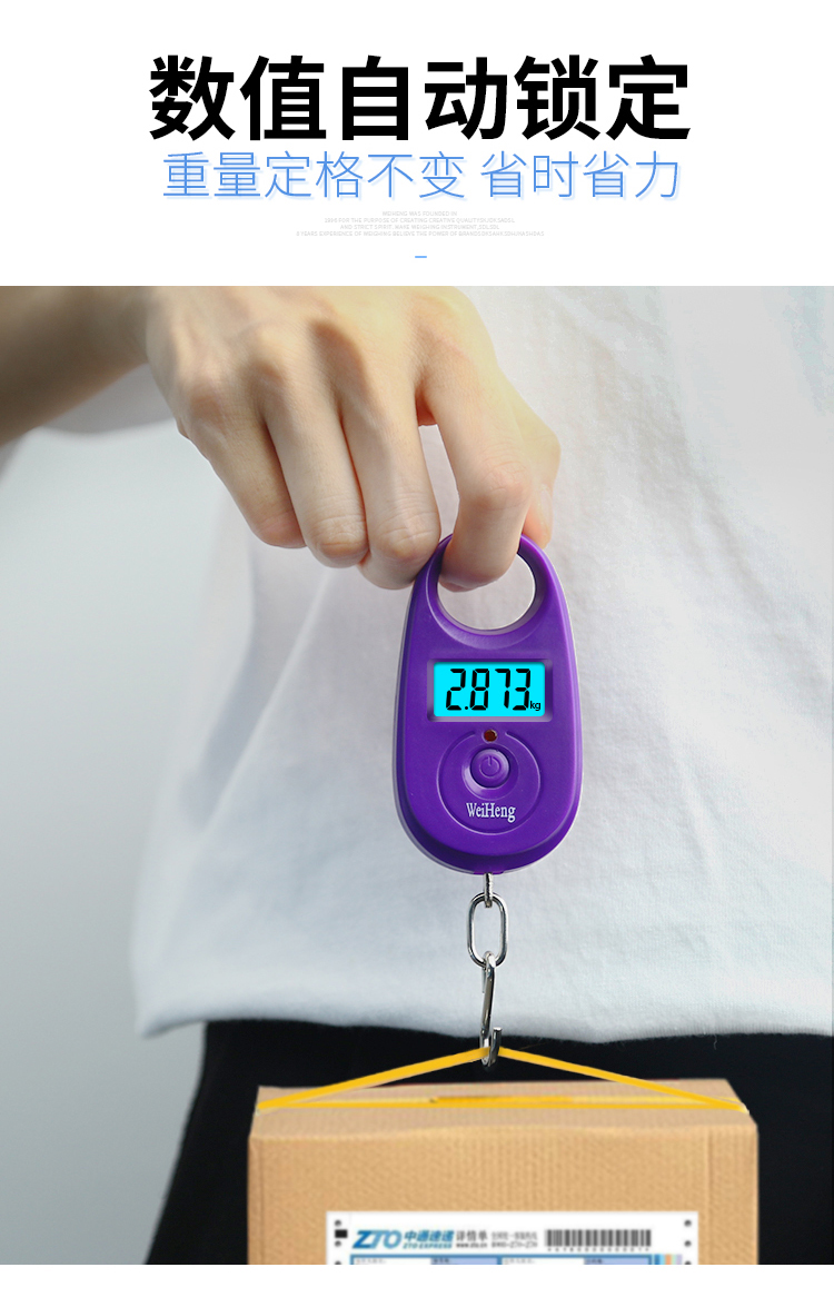 弹簧秤高精度迷你手提电子秤便携式家用小称方便携带弹簧食物小型称鱼