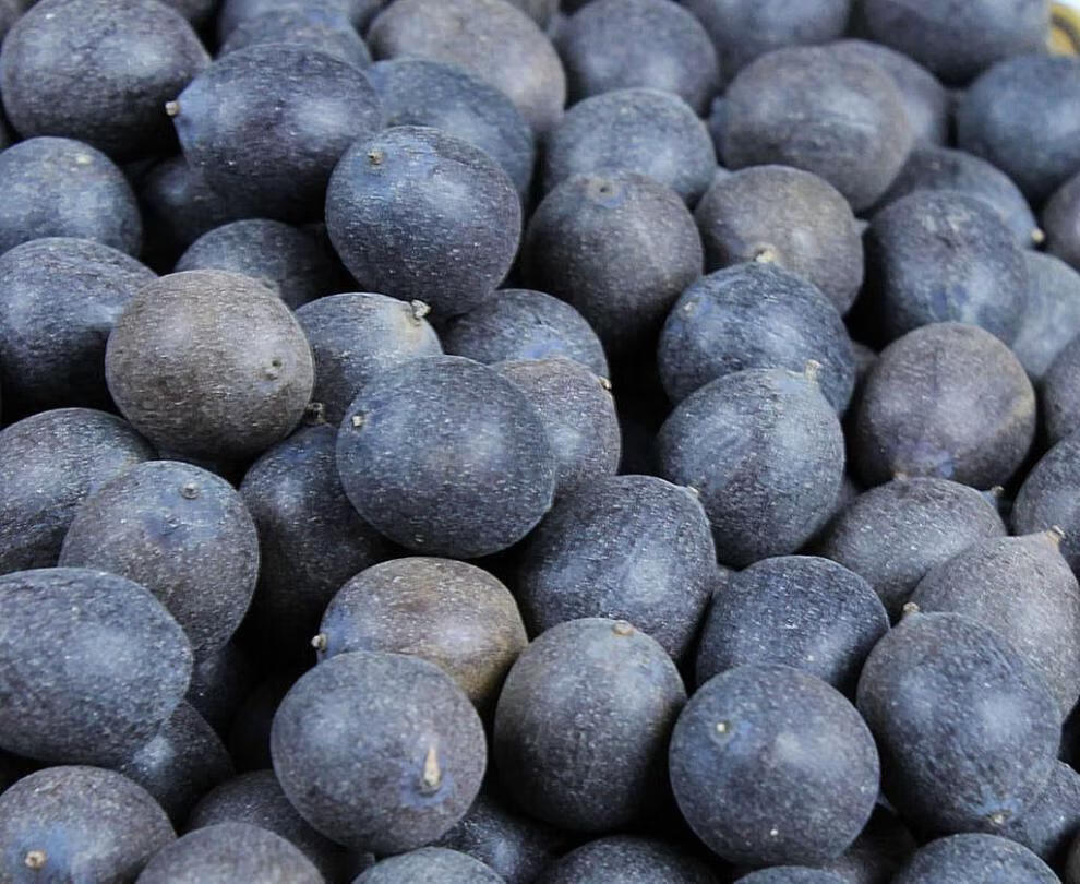 带壳干莲子即食江西特产铁莲子特香黑老红皮莲子 500克【1斤铁莲子】