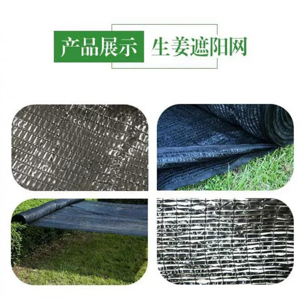 遮阳网三七平针平织蔬菜大棚大姜遮阳网1米宽150米长卷大姜专用遮阳网