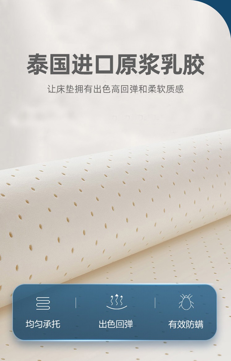 皮皮猪 0气味针织面料床垫 3e椰梦维棕垫无胶水粘合床垫 乳胶 环保棕