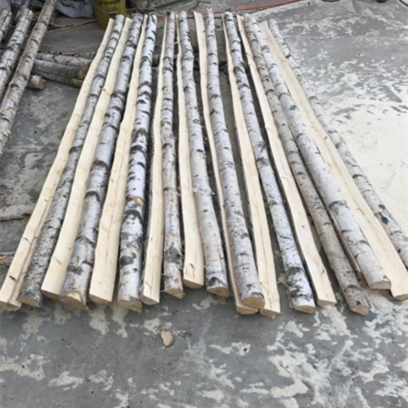 实木白桦木圆木棍白桦树干白桦树树干枯树枯枝树段橱窗装饰树树干定制