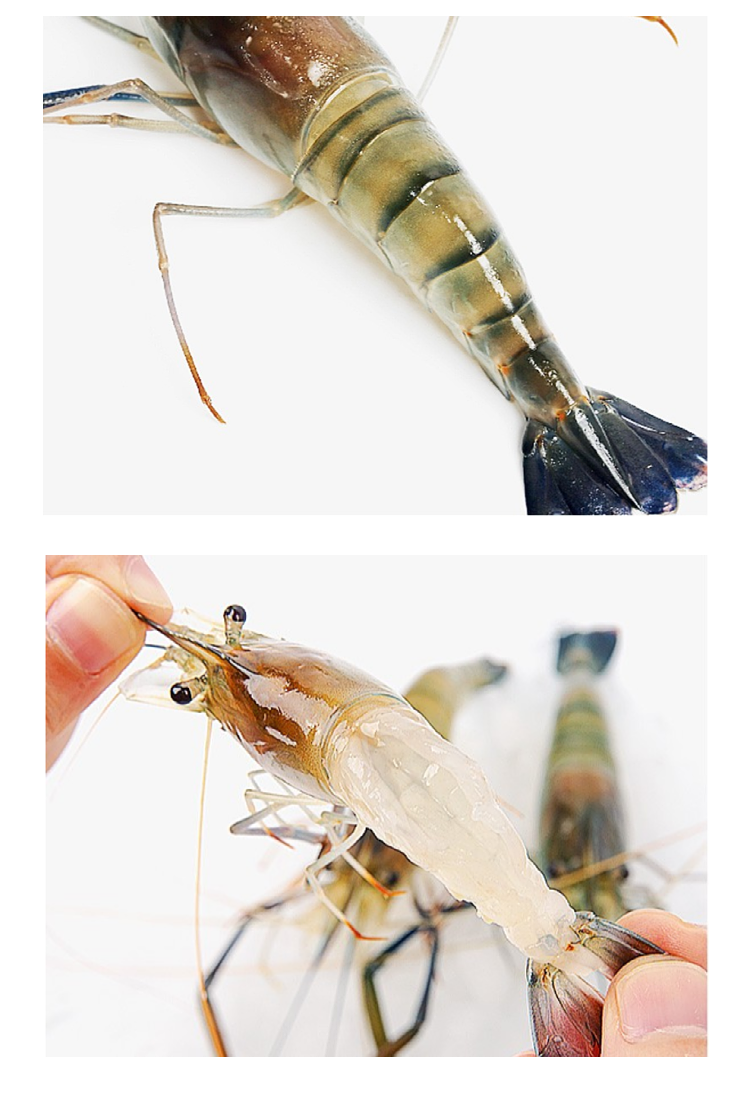 鲜源澜湾 罗氏虾 罗氏沼虾大头虾冷鲜金钱虾万氏对虾生鲜虾类 大号2斤