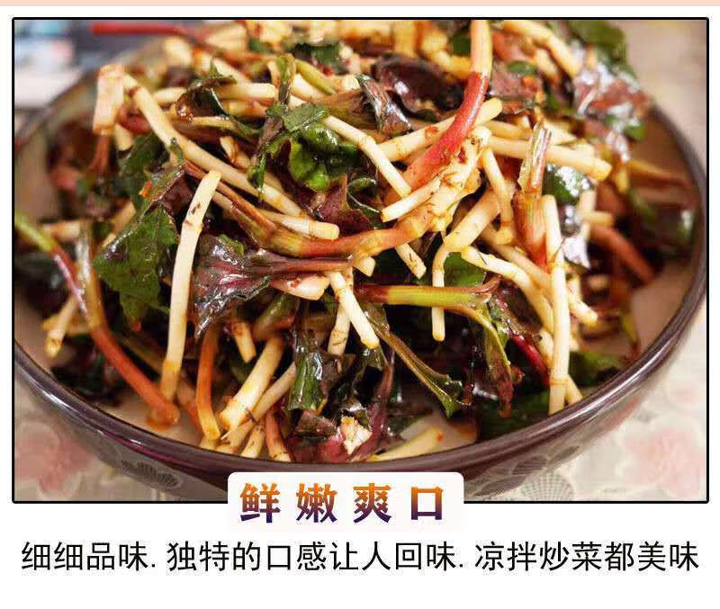 鱼腥草新鲜折耳根四川凉拌菜云南现挖折儿根鱼心草嫩叶芽贵州特产2斤