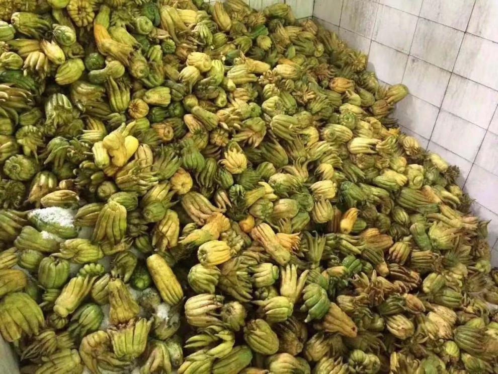 晨臻 潮汕佛手 佛手老香黄橼潮州三宝陈年特产蜜饯老乡黄粒膏零食柑果