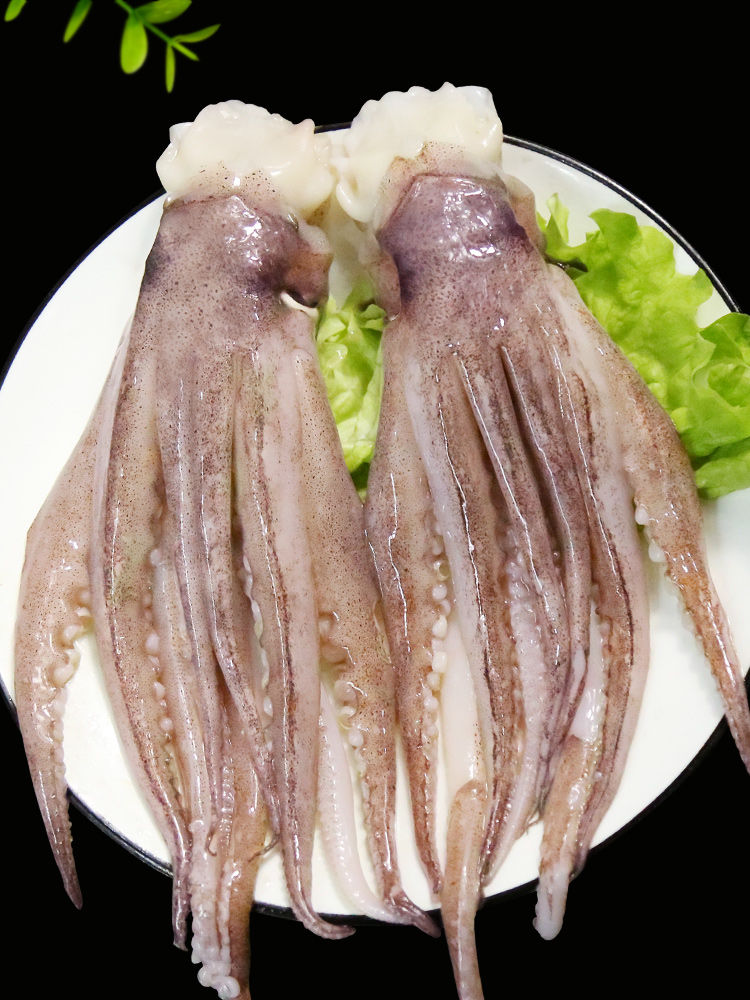 鱿鱼头鱿鱼海鲜水产章鱼鱿鱼须冷冻鱿鱼头香嫩鱿鱼头斓维品一斤装