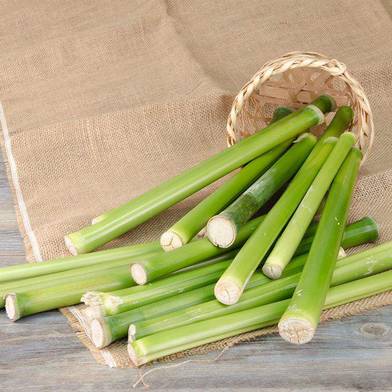 超甜甜杆种子春夏秋四季播甘甜多汁水果甜高粱杆籽北方小甘蔗孑量大