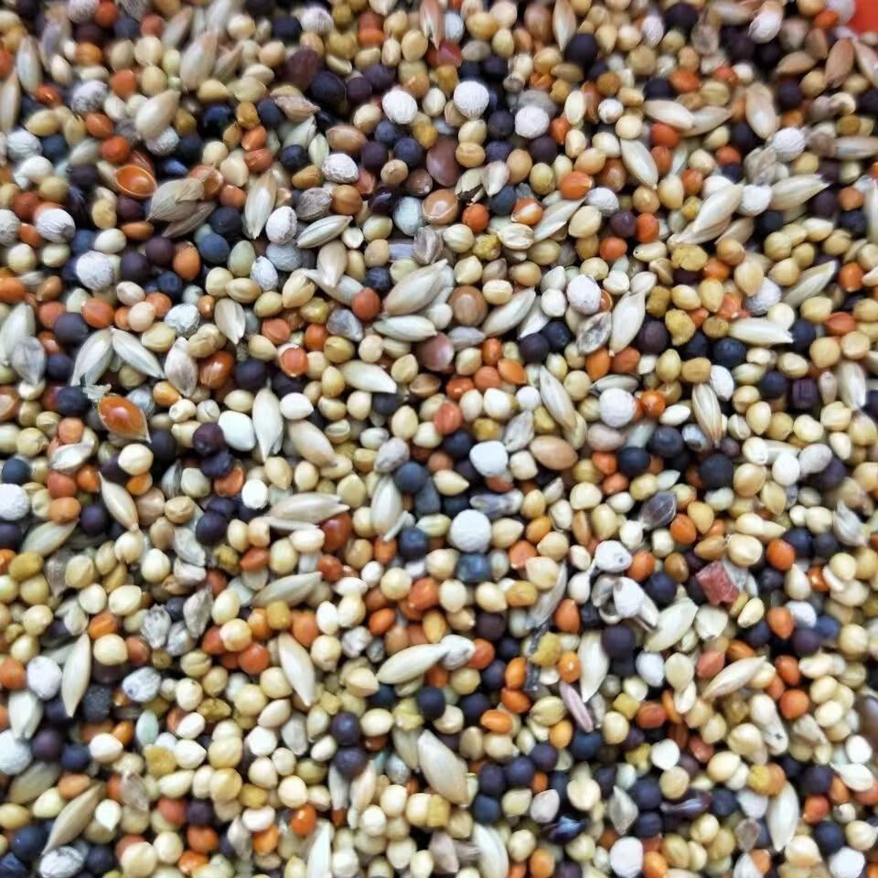 七彩文鸟珍珠鸟食玉鸟粮十姐妹黄雀鸟食带壳黄谷子混合饲料 3斤【图片