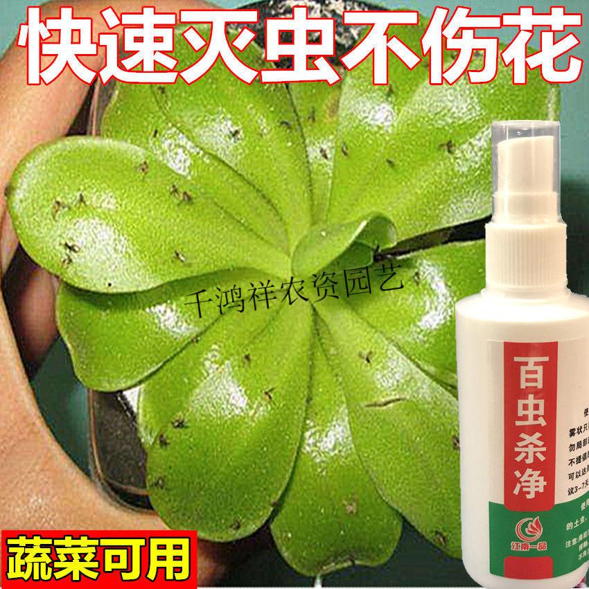 虫王百虫灵虫剂花卉虫药植物通用花药喷雾剂小飞虫4瓶