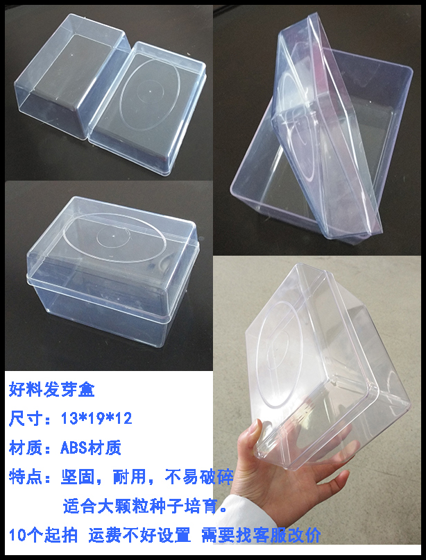 50只种子发芽盒12*12*5/13*19*12玉米小麦育苗盒透明培养皿发芽纸