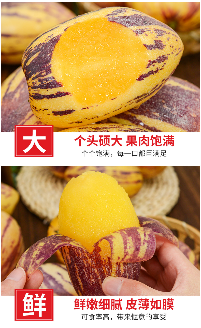 5a好果顺丰急发人参果人生果大果黄心甘肃民勤沙漠