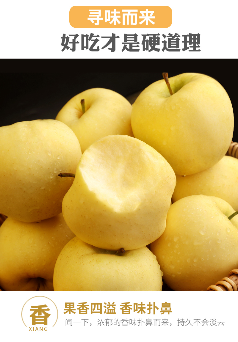 现货速发山东烟台黄金奶油富士苹果10斤新鲜水果栖霞牛奶特产整箱平果