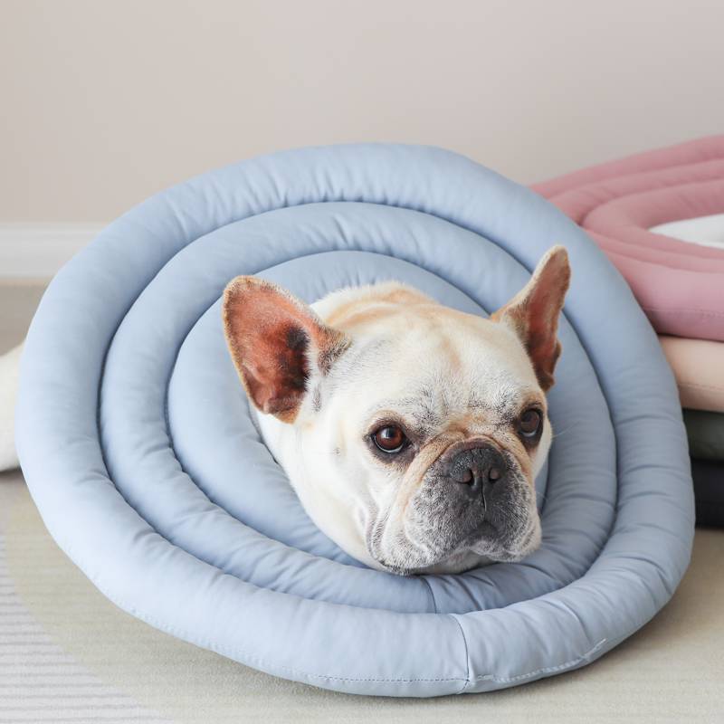 狗狗耻辱圈 宠物狗狗防舔圈伊丽莎白软脖圈法斗头套耻辱圈绝育术后