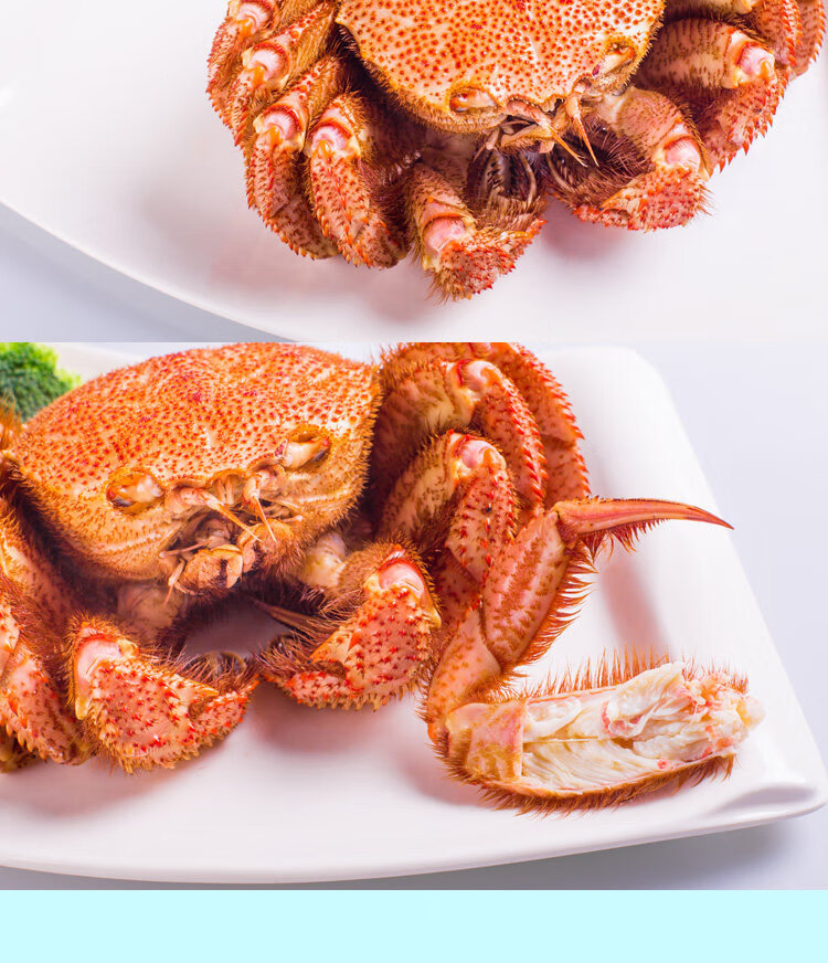 碧浔泽畔鲜活红毛蟹深海螃蟹海鲜水产送礼优选北京上海广州鲜活闪送