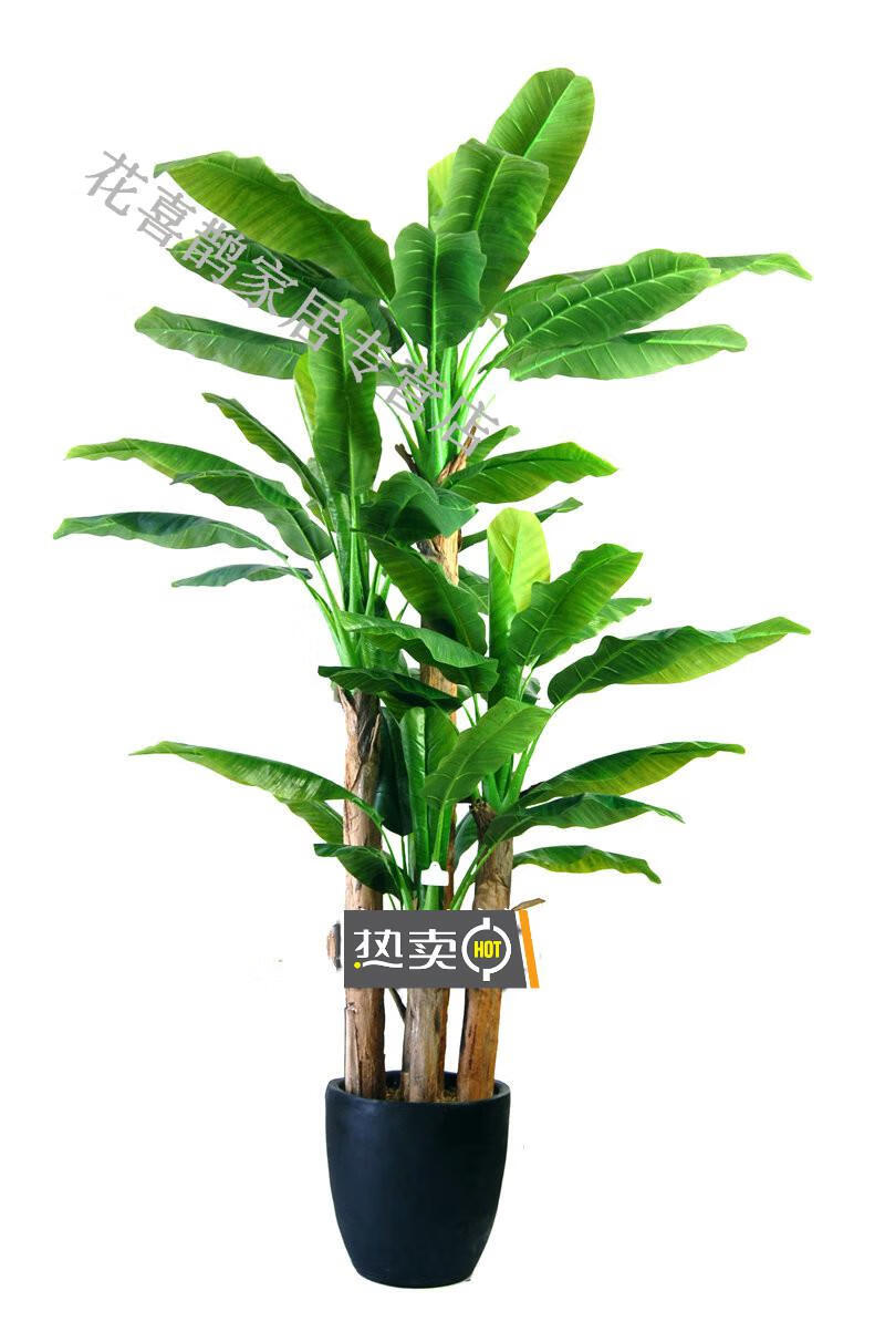 仿真芭蕉树盆景香蕉树客厅植物盆栽落地花假树室内摆件大型绿植 2.
