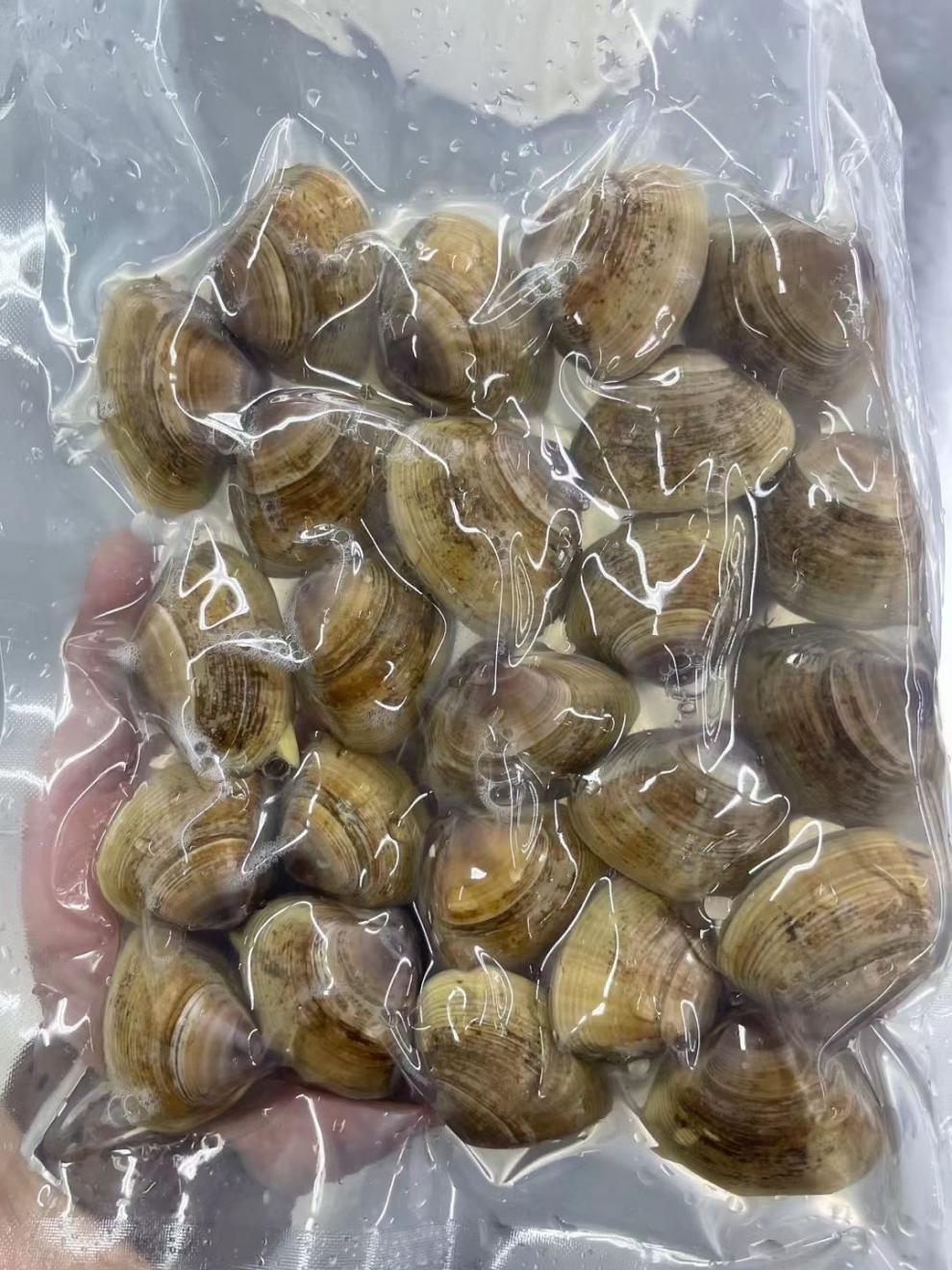 正宗丹东大黄蚬子带壳蛤蜊带壳文贝冷冻文蛤青柳蛤花蛤花甲美贝三袋