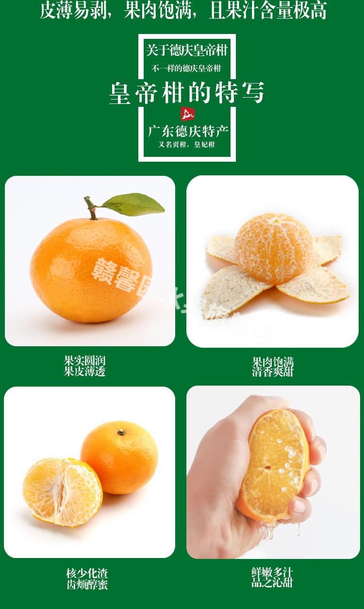 春光岛正宗德庆皇帝柑贡柑大果整箱新鲜现摘水果贡桔黄帝柑礼盒桔子