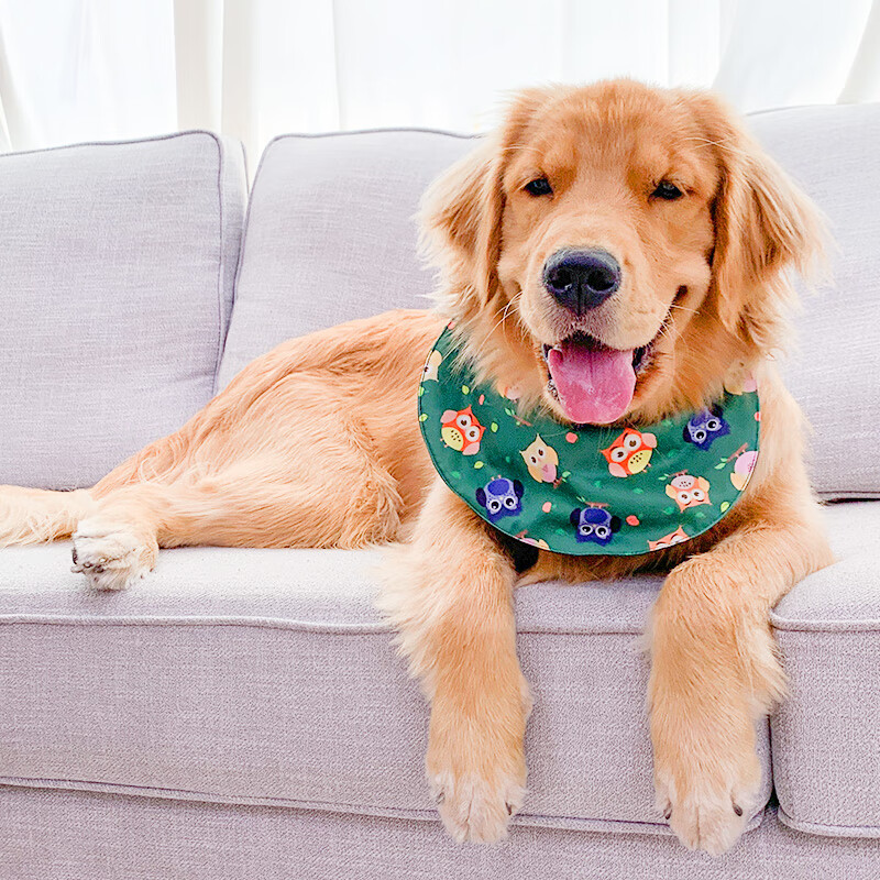 innopet 宠物大狗狗口水巾中大型犬金毛拉布拉多萨摩耶口水兜防水围脖