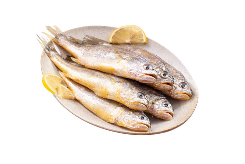 舟山小黄花鱼新鲜冷冻海鲜水产鲜活海鱼东海小黄鱼3斤