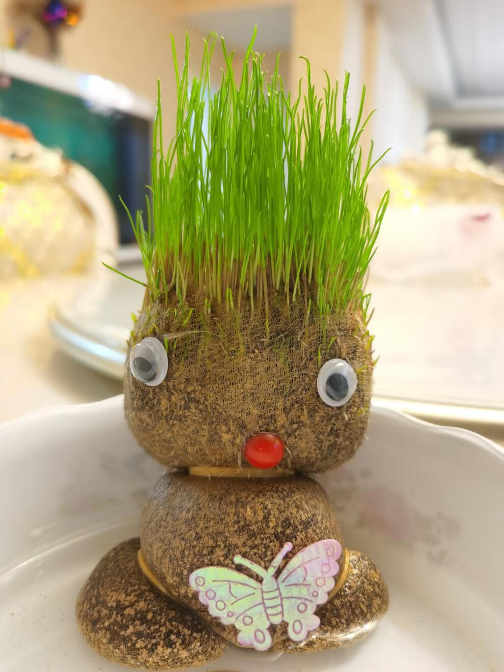 种草娃娃室内桌面草头娃娃头上长草儿童种植小盆栽种草植物头发浇水