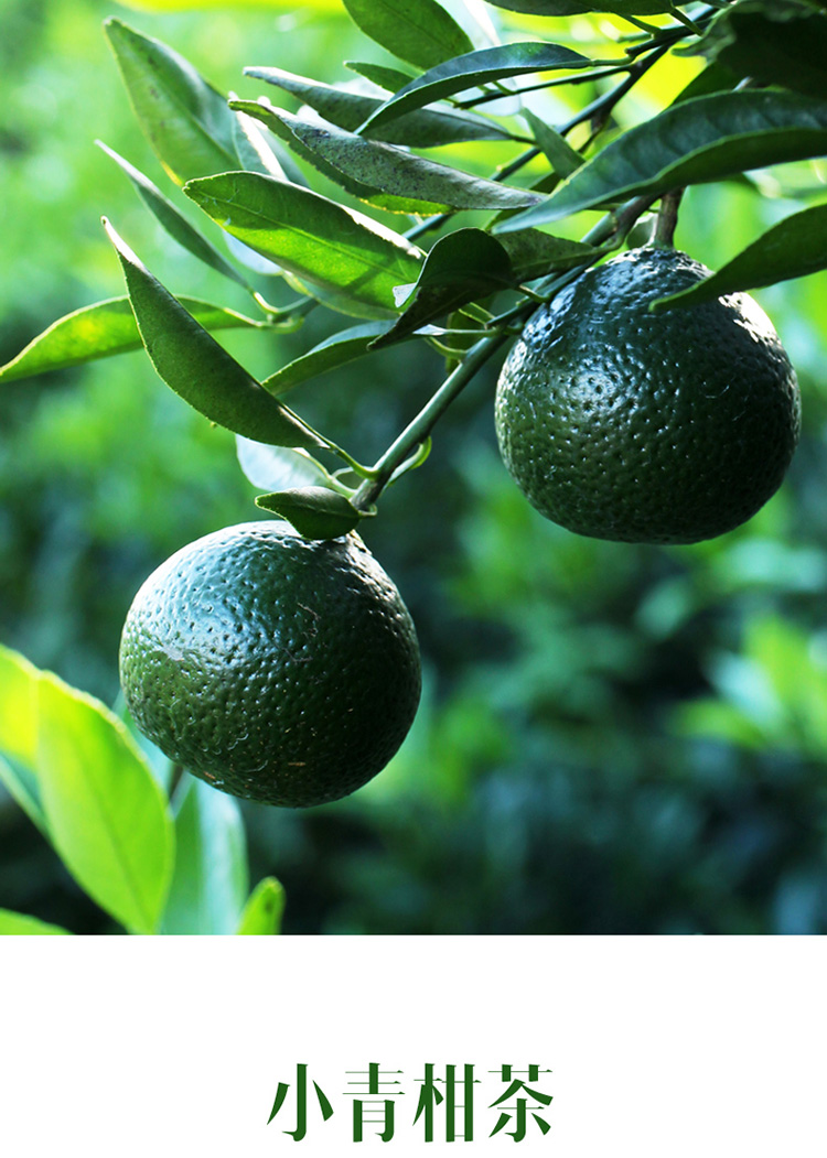 顺丰多地隔日达新会柑鲜果新鲜小青柑天马村新鲜小青柑新会茶枝柑鲜果