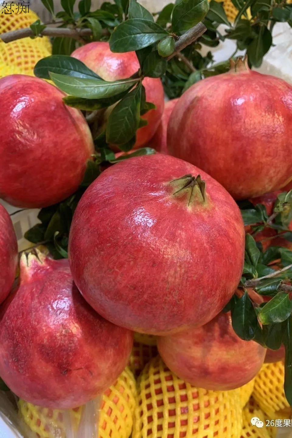 青樱红荔新疆黑籽珍珠酸石榴当季新鲜酸甜孕妇精品水果非突尼斯软籽