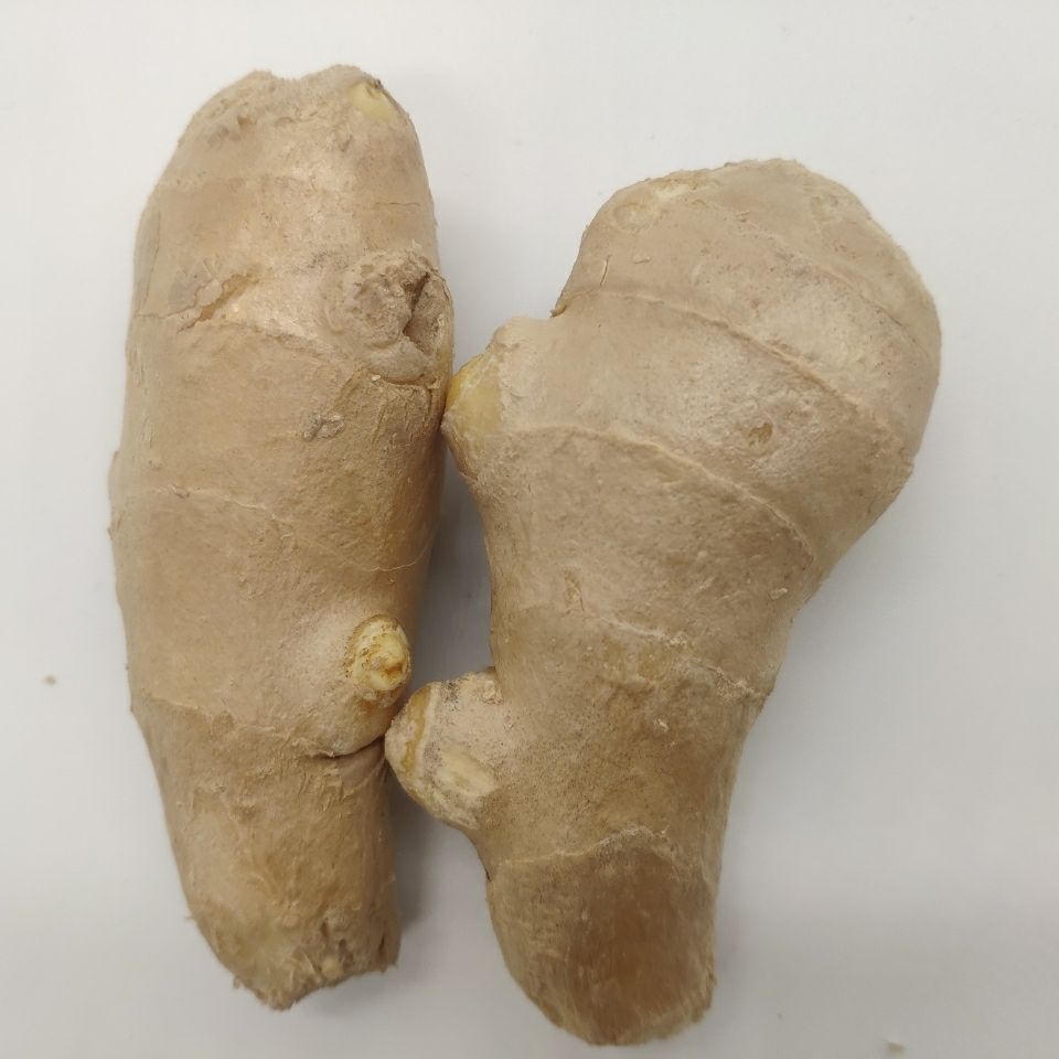 520礼物送女友山东特产生姜新鲜姜风块大姜姜汤姜月新鲜蔬菜无硫磺风