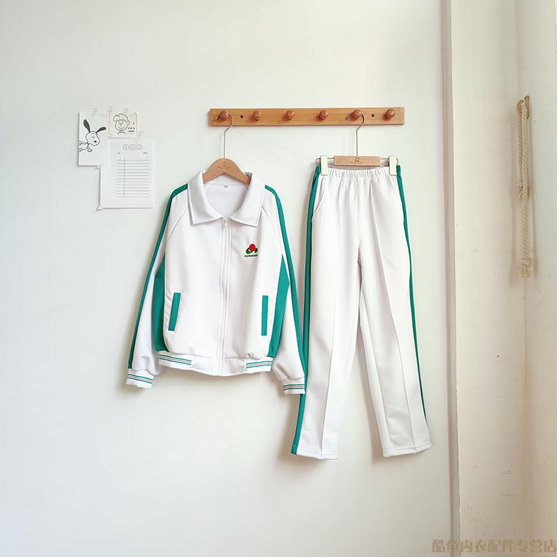 汕头潮阳实验学校服新款潮阳实验学校春秋校服外套长裤套装中学生运动