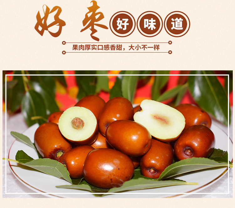 辽宁朝阳新鲜大枣新鲜5斤整箱孙家湾大枣子甜枣脆枣水果当季 正宗朝阳