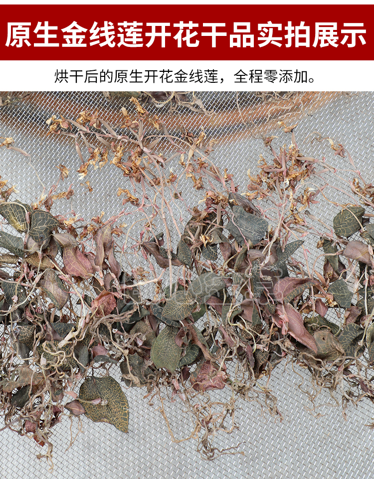 原生福建南靖金线莲开花干品50克土楼深山老林采摘纯净无土礼盒装传统