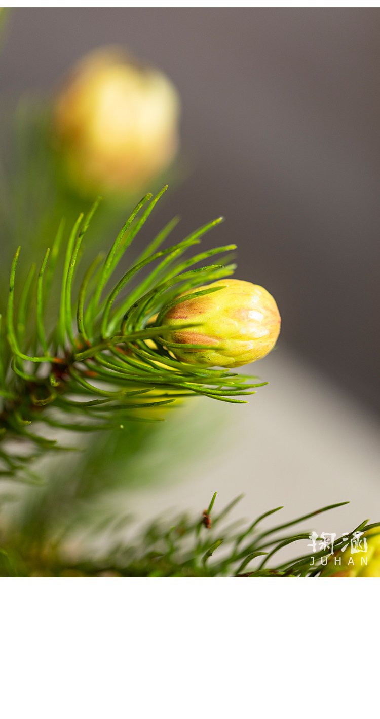 掬涵仿真松针花绿植娜娜公主假花仿真植物客厅餐桌高品质装饰插花摆件