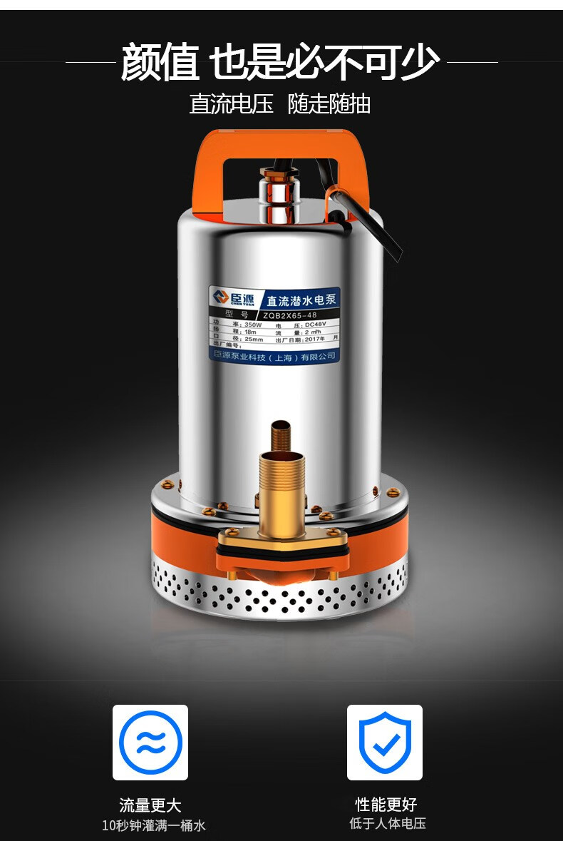 泵12v24v48v60v抽水泵家用电动车抽水机小型水泵农用灌溉12v25米线