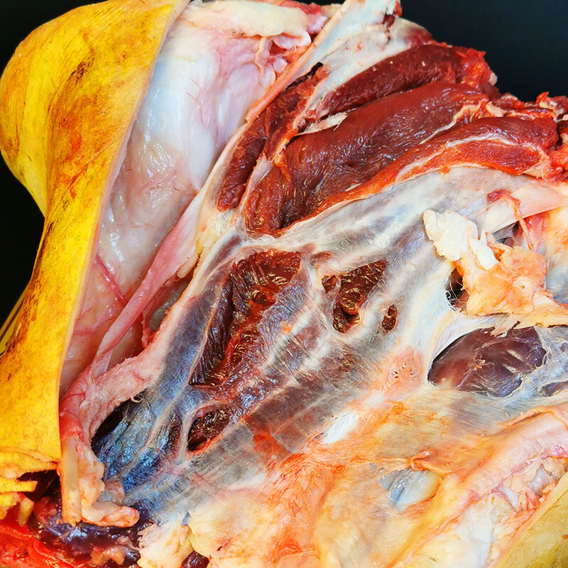 牛龙骨关节骨头带皮牛腱子共发6斤 套餐贵州黔东南新鲜牛骨头【图片