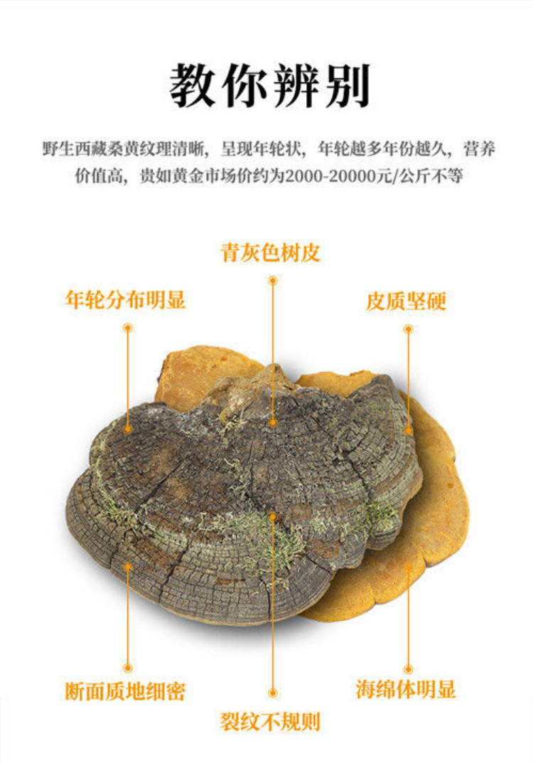 大桑树桑黄的功效与作用特级灵芝 25年金边桑树桑黄粉 3罐【图片 价格