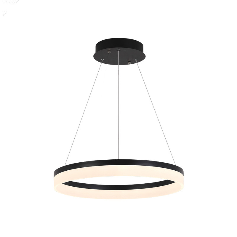 简约圆圈环形led吊灯轻奢客厅书房餐厅工装商用灯具直径80cm黑色白光