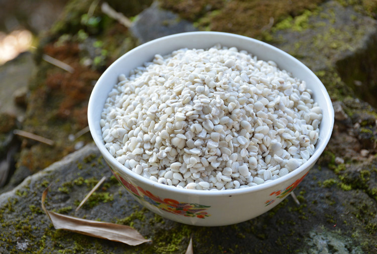 福建宁化糯薏米仁农家自产小薏仁米新鲜薏苡仁杂粮500g