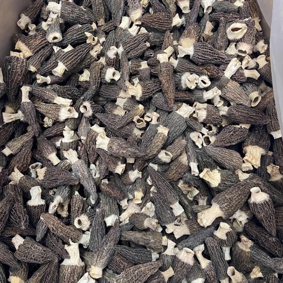 5折云南特产 礼佳品 头茬羊肚菌 干货 羊肚菌干品50克【图片 价格