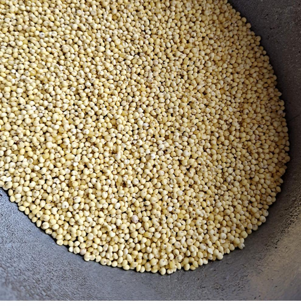 北秫米500克 药用北秫米中药材散装新货农家糯秫黄糯糯粟小米