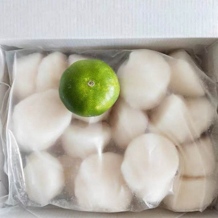 带子帆立贝柱大个鲜贝刺身大颗澳带大颗瑶柱原汁冰衣原料级供日料带子