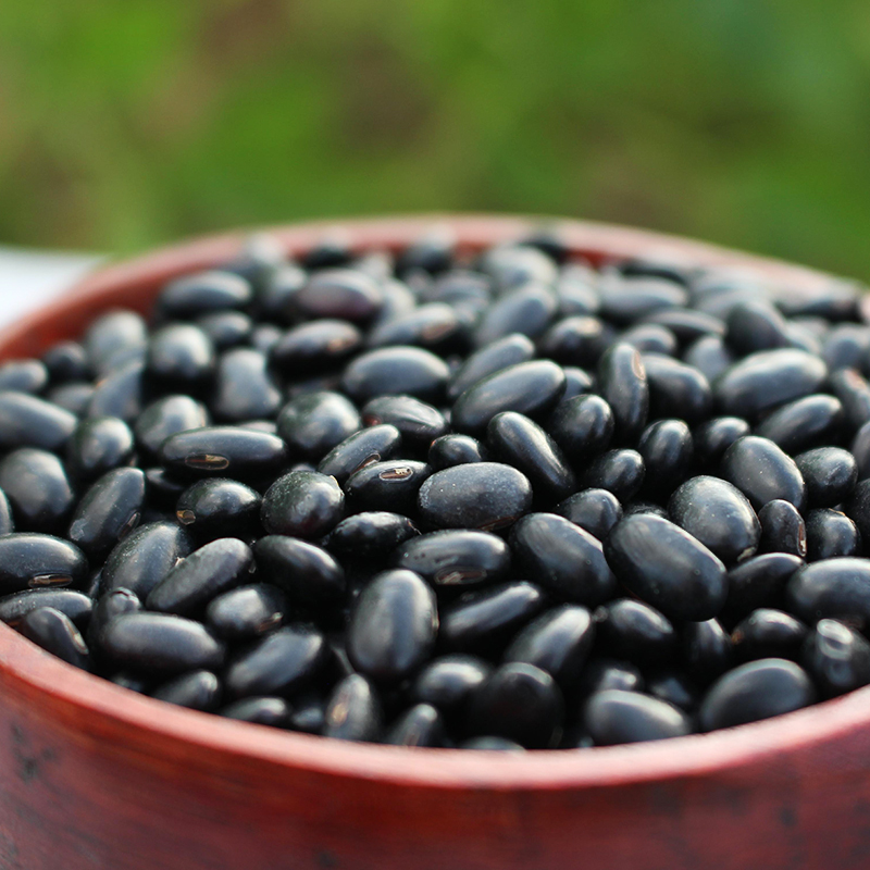 黑扁豆500g西北农家自产五谷杂粮可打豆浆