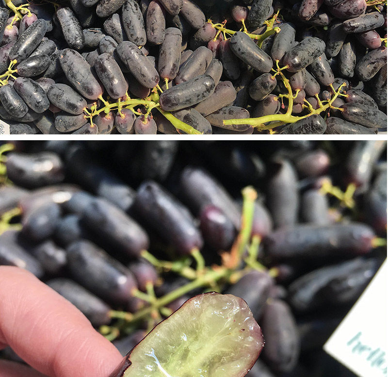 新鲜金手指黑提美人指葡萄黑手指拇指无籽提子新鲜水果3斤