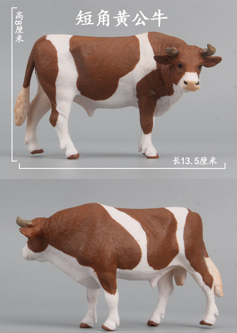 仿真动物模型摆件小牛牛崽奶牛小黄牛科教儿童动物玩具德克萨斯长角
