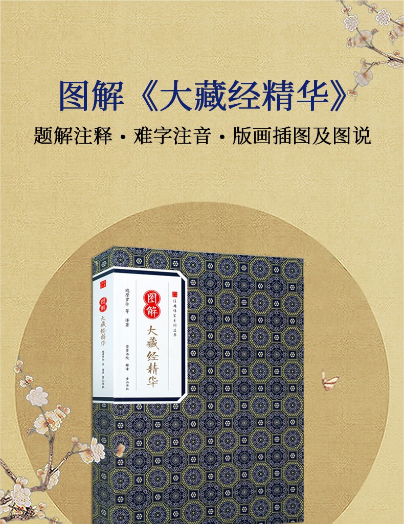 《图解大藏经精华 题解注释 难字注音 鸠摩罗什 大藏经研究 文化研究